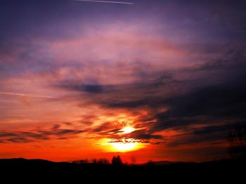 sun collr.jpg