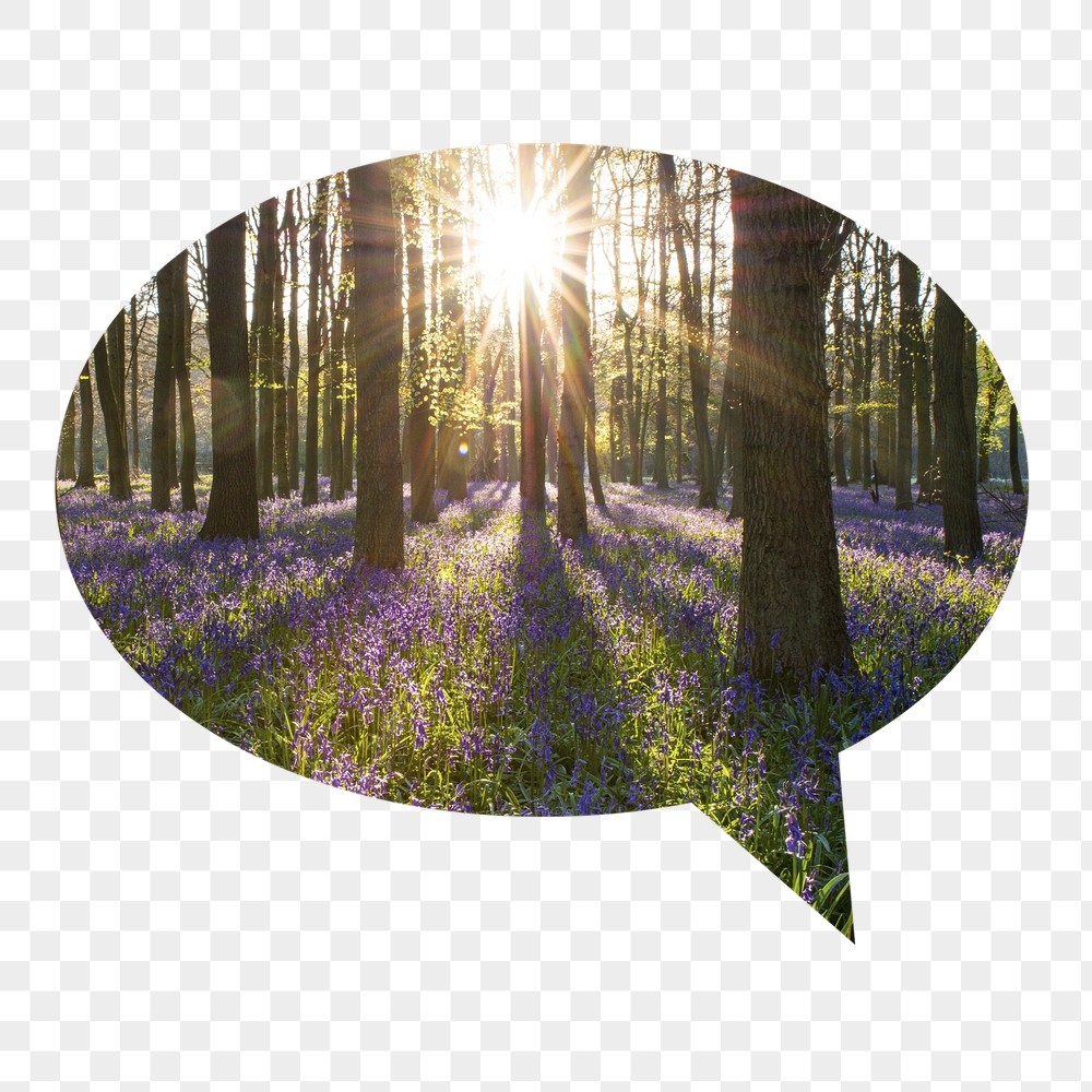 Sun flare png forest badge | Free PNG - rawpixel