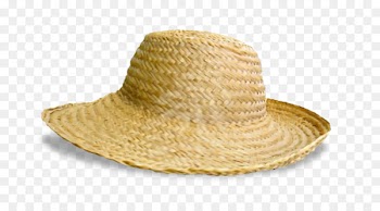 Sun hat Cowboy hat Straw hat - hat 