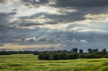 Sun Raise from the Sky over the Green Fields