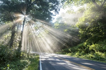 Sun Rays on the Drive. | Free Photo - rawpixel