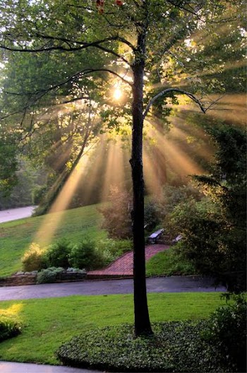 Sunbeams_+1_-1_tonemapped.jpg