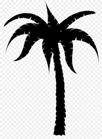 Suncoast Community High School Palm trees Computer Science Engineering Mathematics -  