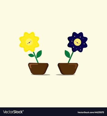 sunflower and moon flower style flower