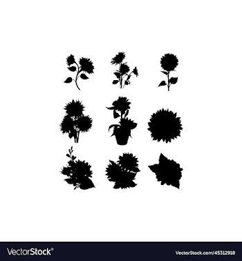 sunflower blossom creative design