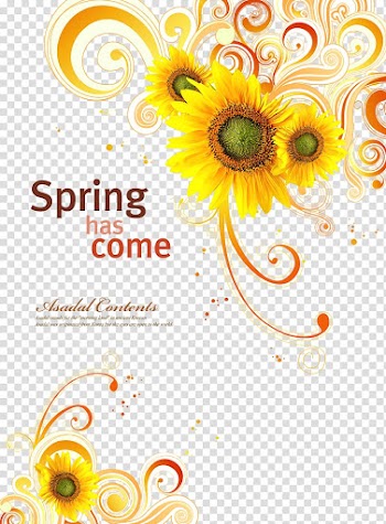 Sunflower border, Common sunflower, Sunflower yellow flowers creative transparent background PNG clipart