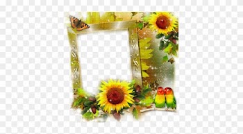 Sunflower Border Png Autumn Sunflower Frame - Frames Sunflowers Transparent