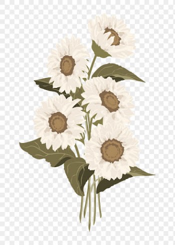 Sunflower bouquet png clipart, pastel | Free PNG - rawpixel