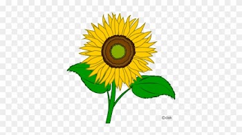 Sunflower Clip Art Free Printable Clipart 2 - Sunflower Pictures Clip Art