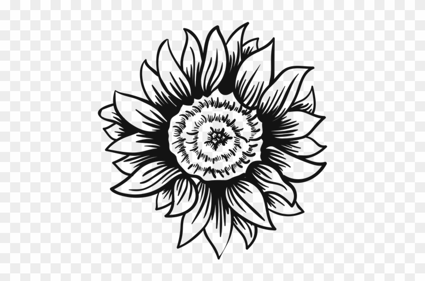 Sunflower Head Stroke Transparent Png - Black And White Sunflower Svg