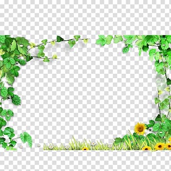 Sunflower illustration, Template, Green leaves frame,Green leaves background border transparent background PNG clipart