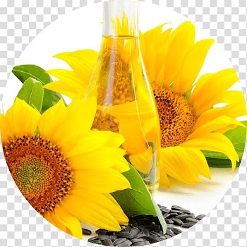 Sunflower oil Linseed oil Vegetable oil, sunflower oil transparent background PNG clipart