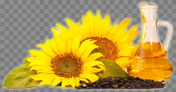 Sunflower oil PNG images free download