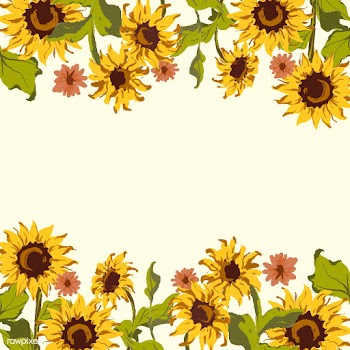 Sunflower pattern | Free stock vector - 558718