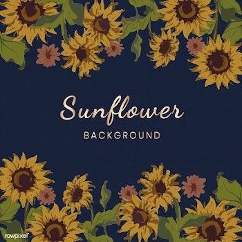 Sunflower pattern | Free stock vector - 558723