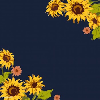 Sunflower pattern | Free stock vector - 558724
