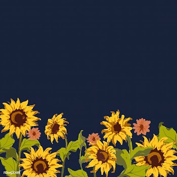 Sunflower pattern | Free stock vector - 558726