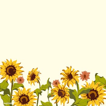 Sunflower pattern | Free stock vector - 558729