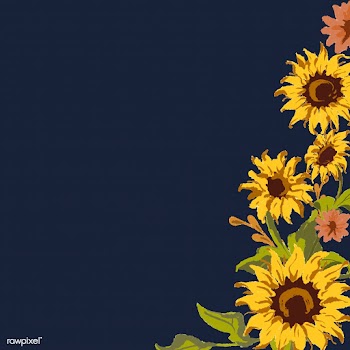 Sunflower pattern | Free stock vector - 558732