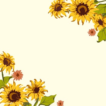 Sunflower pattern | Free stock vector - 558733