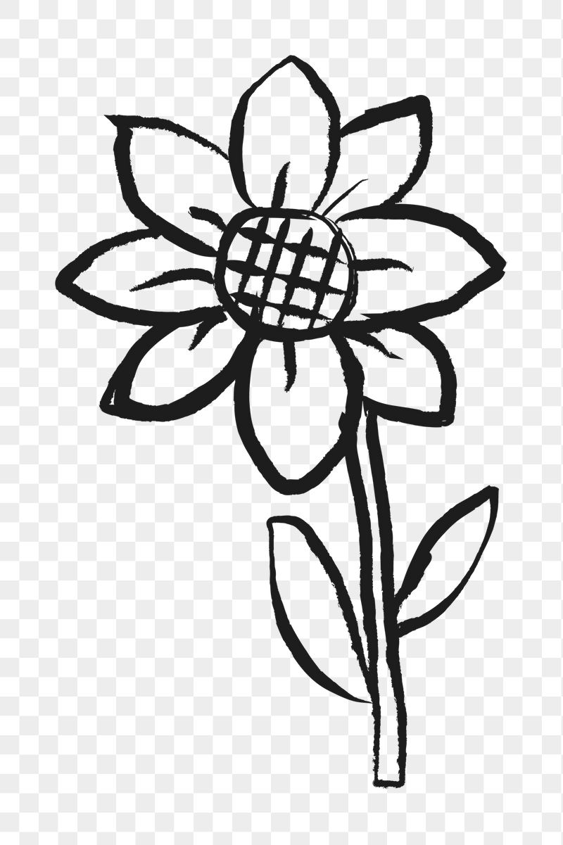 Sunflower png sticker, flower doodle, | Free PNG Illustration - rawpixel