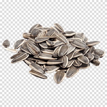 Sunflower seed Common sunflower Eating Food, salt transparent background PNG clipart