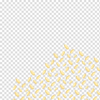 Sunflower seed Melon Egusi, Flaxseed melon seeds transparent background PNG clipart