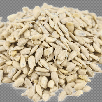 Sunflower Seeds PNG Photo