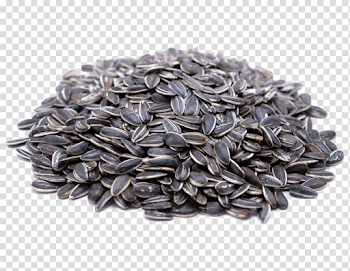 Sunflower Seeds Transparent Image