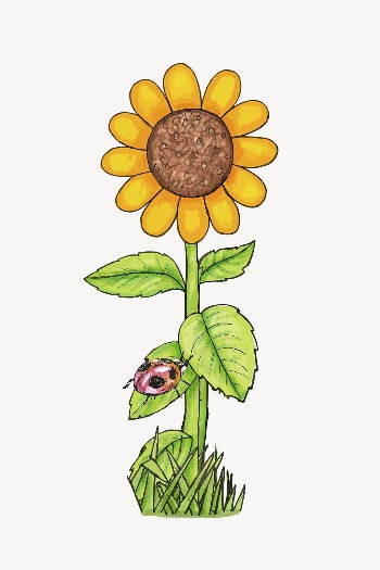 Sunflower sticker, flower illustration psd. | Free PSD - rawpixel