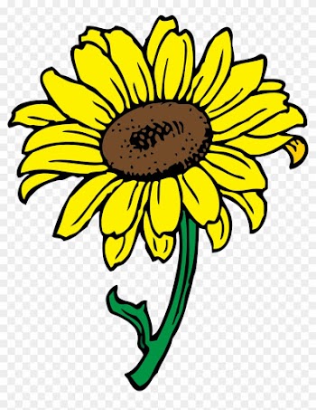 Sunflower - Sunflower Clipart Transparent Background