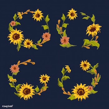 Sunflower wreath collection | Free stock vector - 558736