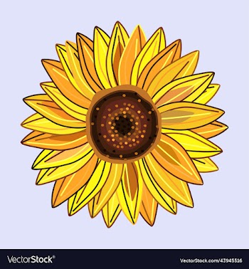 sunflower2