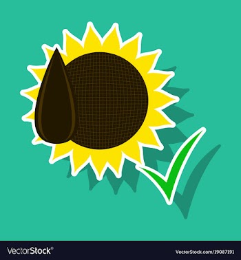 Sunflowers and seeds symbol isolated on background vector image