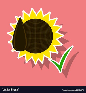 Sunflowers and seeds symbol isolated on background vector image