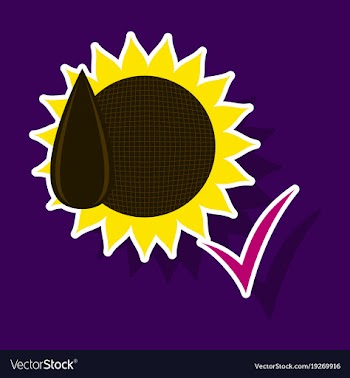 Sunflowers and seeds symbol isolated on background vector image