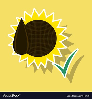 Sunflowers and seeds symbol isolated on background vector image