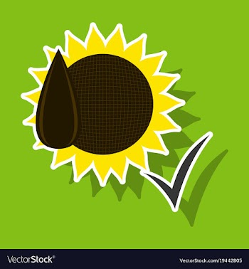 Sunflowers and seeds symbol isolated on background vector image