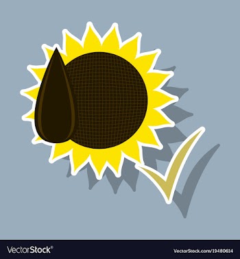 Sunflowers and seeds symbol isolated on background vector image