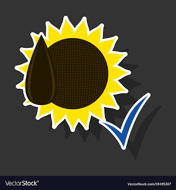 Sunflowers and seeds symbol isolated on background vector image