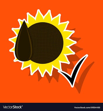 Sunflowers and seeds symbol isolated on background vector image