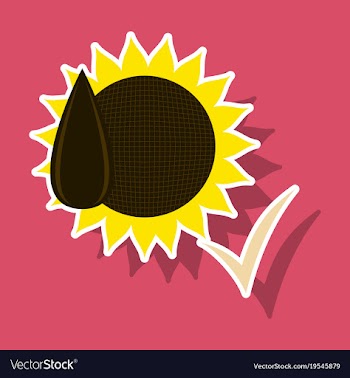Sunflowers and seeds symbol isolated on background vector image