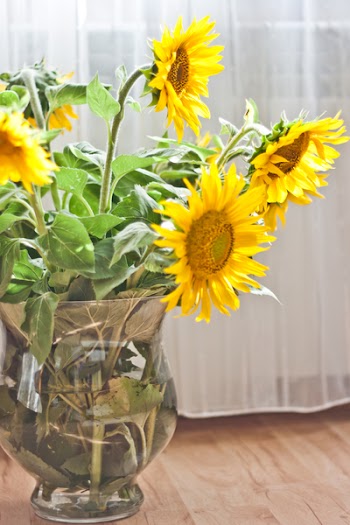 Sunflowers in a Vase