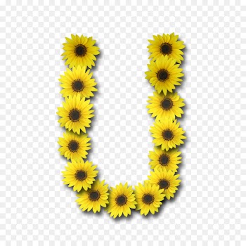 Sunflowers Instagram Letter Tagged - sunflower 