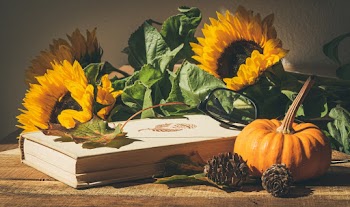 Sunflowers on Book