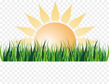 Sunlight Euclidean vector - Sun and lawn 