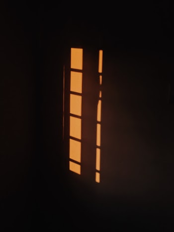 Sunlight penetrates the window panels.