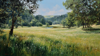 Sunlit Meadow with Gleaming Grass