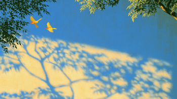 Sunlit Shadows of Nature on Adobe Wall