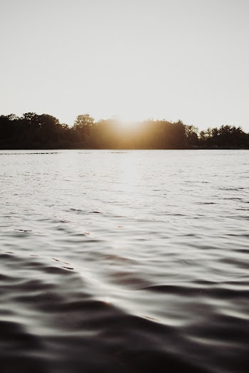 Sunny Lake
https://www.instagram.com/randykinnephoto